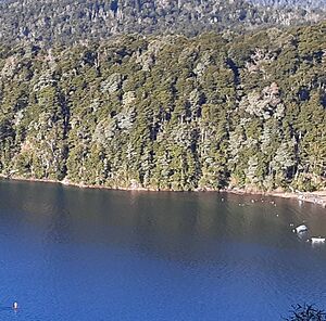 Archivo:Lago Espejo. Ruta de los siete lagos. Neuquén