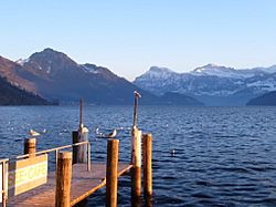 Lake Lucerne Weggis.jpg