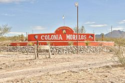 Letrero de entrada a Colonia Morelos.jpg