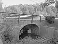 Lilly Bridge