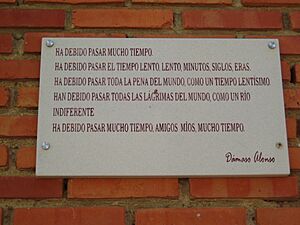 Archivo:Lojadamaso