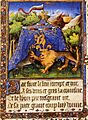 Loup-Orleans-lion-Bourgogne