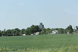 Magnolia MN.jpg