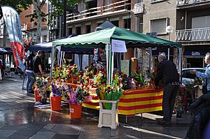 Archivo:Mollet - Sant Jordi - 2011-04-23 02 - JTCurses