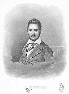 Narciso inglada-Retrato de Pablo Piferrer y Fabregas.jpg