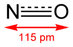 Nitric-oxide-2D.png