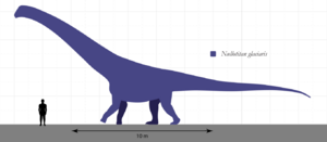 Archivo:Nullotitan Size Comparison