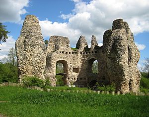 Archivo:Odiham Castle