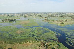 Archivo:Okavango Delta, Botswana (2674364913)