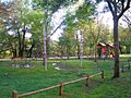 Plasencia - Parque de la Isla y río Jerte 17