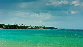 Playa Mar Bella, Vega Baja, Puerto Rico.jpg