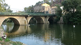 Pont Vell (Pont de Molins) 2.jpeg