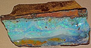 Archivo:Precious opal in matrix (Quilpe, Queensland, Australia) 1 (27159465215)