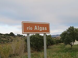 Archivo:Río Algás, Nonaspe