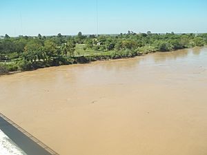 Archivo:Riverside of Bermejo River in General Lucio V. Mansilla