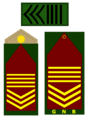 SSGNB