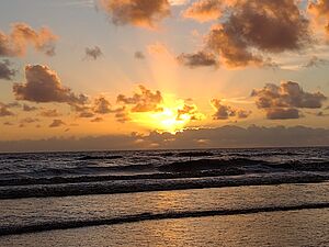 Archivo:Salida del sol en el horizonte marino
