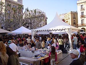 Archivo:Sant Jordi 2007 Mataró