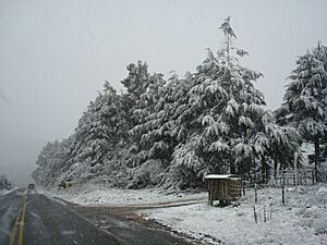 Archivo:Serra do Rio do Rastro ( neve ) - panoramio