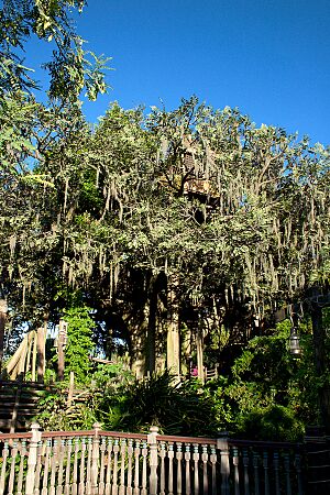 Archivo:Swiss Family Robinson Treehouse 1