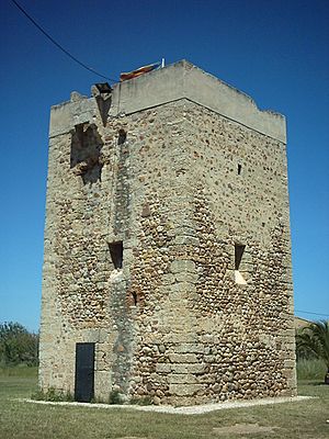 Archivo:Torre dedefensa de la costa (Borriana)