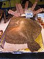 Turbot fish at market, 2009