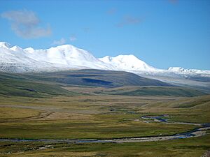 Archivo:Ukok Plateau 2