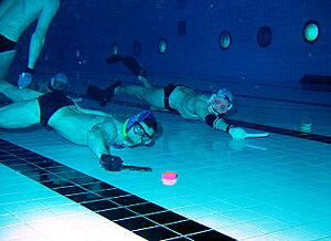 Archivo:Underwater Hockey