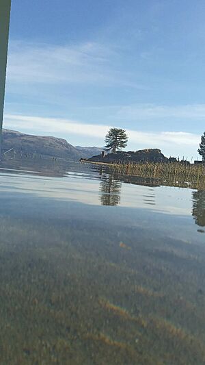 Archivo:Villa Pehuenia-