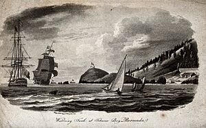 Archivo:Watering tank at Tobacco Bay, Bermuda. Aquatint by Wells, 18 Wellcome V0020194