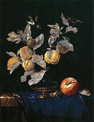 Archivo:Willem van Aelst - Still-Life with Fruit - WGA0044