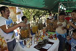 5o. Feria del Jocote-San Lorenzo, Ahuachapán. (25773811943).jpg