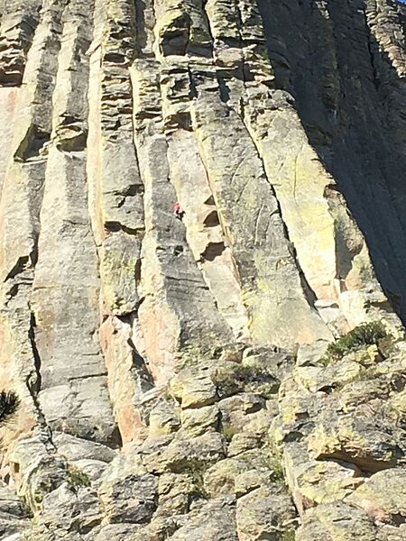A Climber in Our Midst!