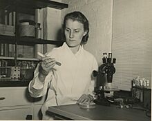 Alma Whiffen Barksdale (1916-1981) - Smithsonian Institution Archives.jpg