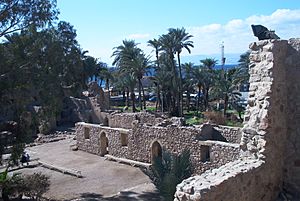 Archivo:Aqaba Fort 74