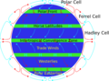 Atmospheric circulation