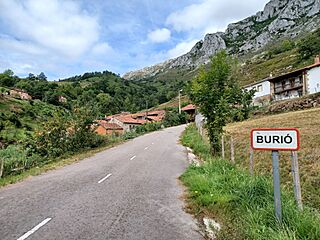 Burió, Camino Lebaniego 01.jpg