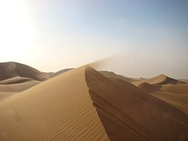 Desierto del Sahara, en África. Los desiertos son los lugares más secos de la Tierra. En algunos no llueve nada durante años.