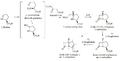CARBAPENAM BIOSYNTHESIS