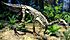 Camptosaurus aphanoecetes - IMG 0673.jpg
