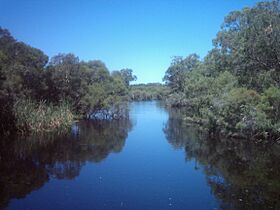 Canning river upstream kent st.jpg