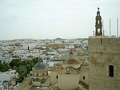 Carmona vista desde el alcázar