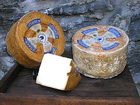 Castelmagno (formaggio).jpg