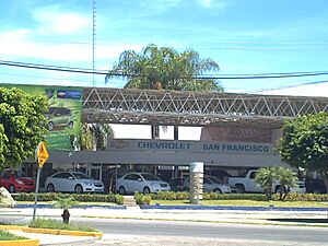 Archivo:Chevrolet san francisco