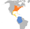 Contopus virens map