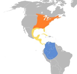 Distribución geográfica del pibí oriental.