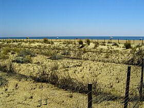Espigón Huelva 001.JPG