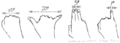 Estimating angular size with hand