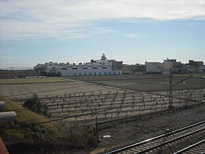 Archivo:Foios. Vista de Cúiper