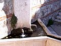 Fuente del Concejo